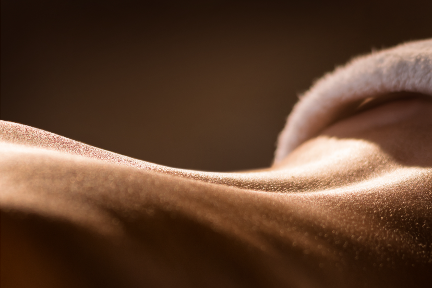 Laser Hair Removal